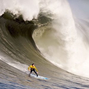 开云入口-胜负天平的震颤，当纳达尔与澳大利亚鏖战50分钟，莎拉波娃的巅峰对决回响，震颤的天平，纳达尔澳洲苦战与莎拉波娃的巅峰回响